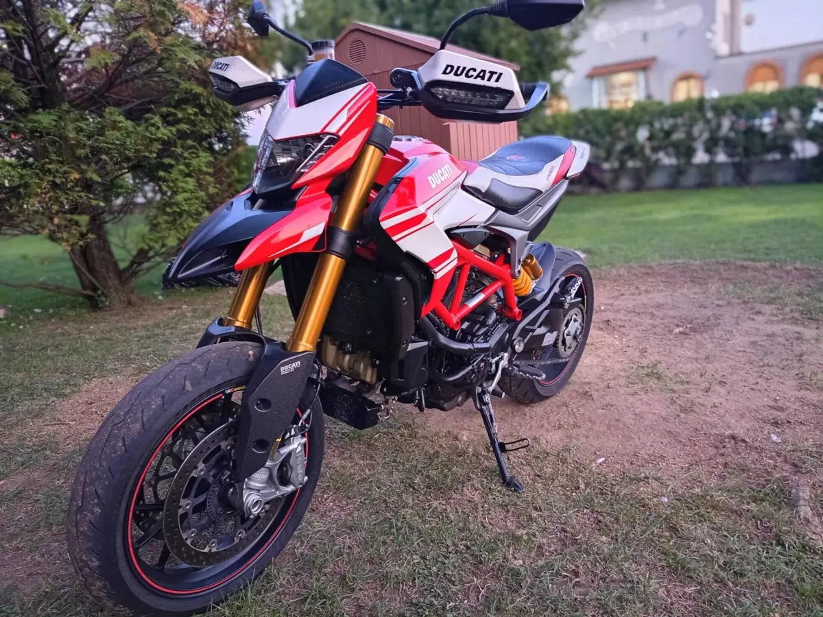 Ducati Hypermotard 939 SP (2016 - 18) (6)