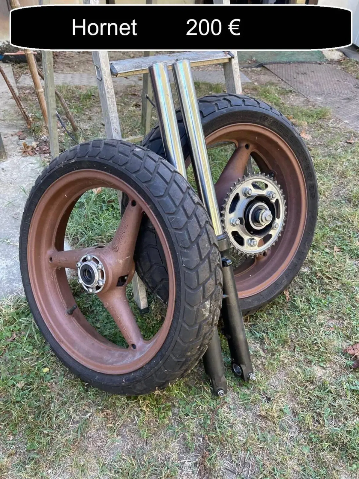 Honda Hornet