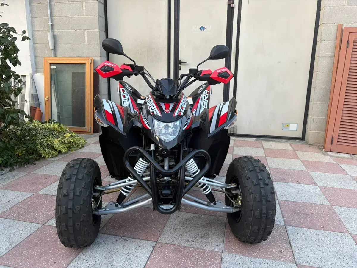 Aeon Cobra 400 (2008 - 17) (2)