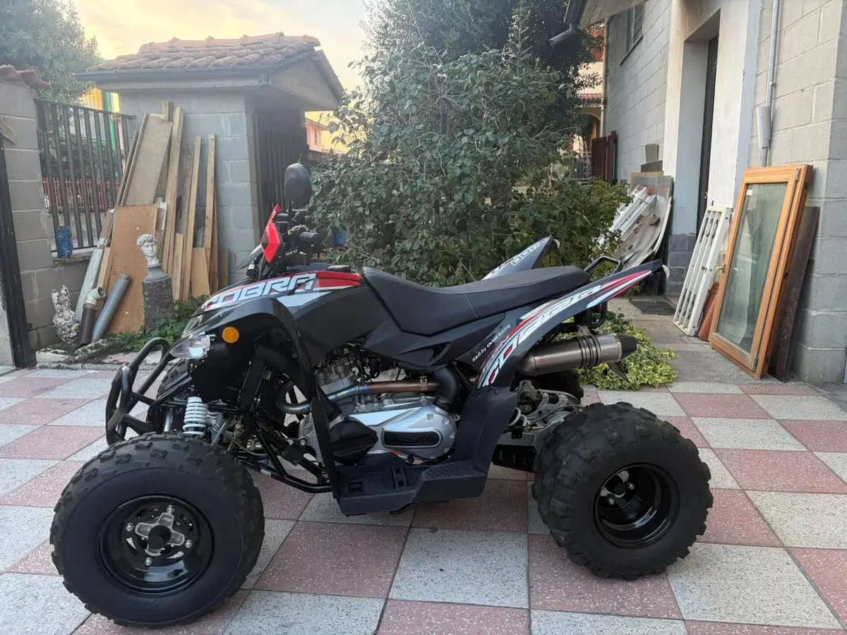 Aeon Cobra 400 (2008 - 17) (4)