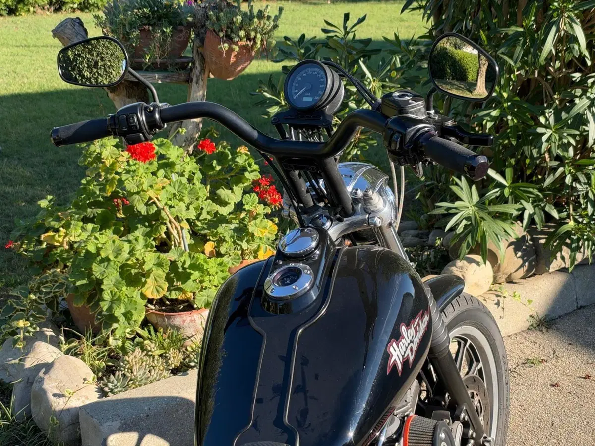 Harley-Davidson 1450 Super Glide Sport (1999 - 01) - FXDX (7)