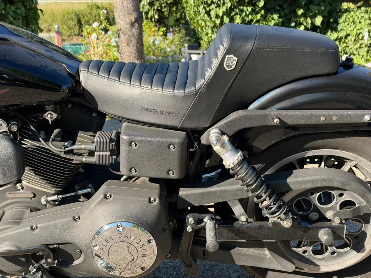 Harley-Davidson 1450 Super Glide Sport (1999 - 01) - FXDX (13)
