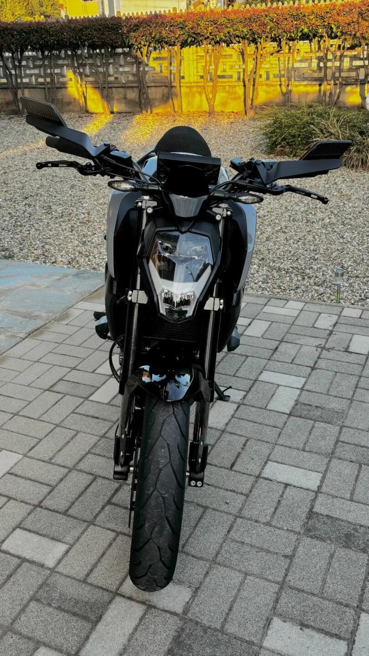CFMOTO 300NK (2021 - 26) (6)