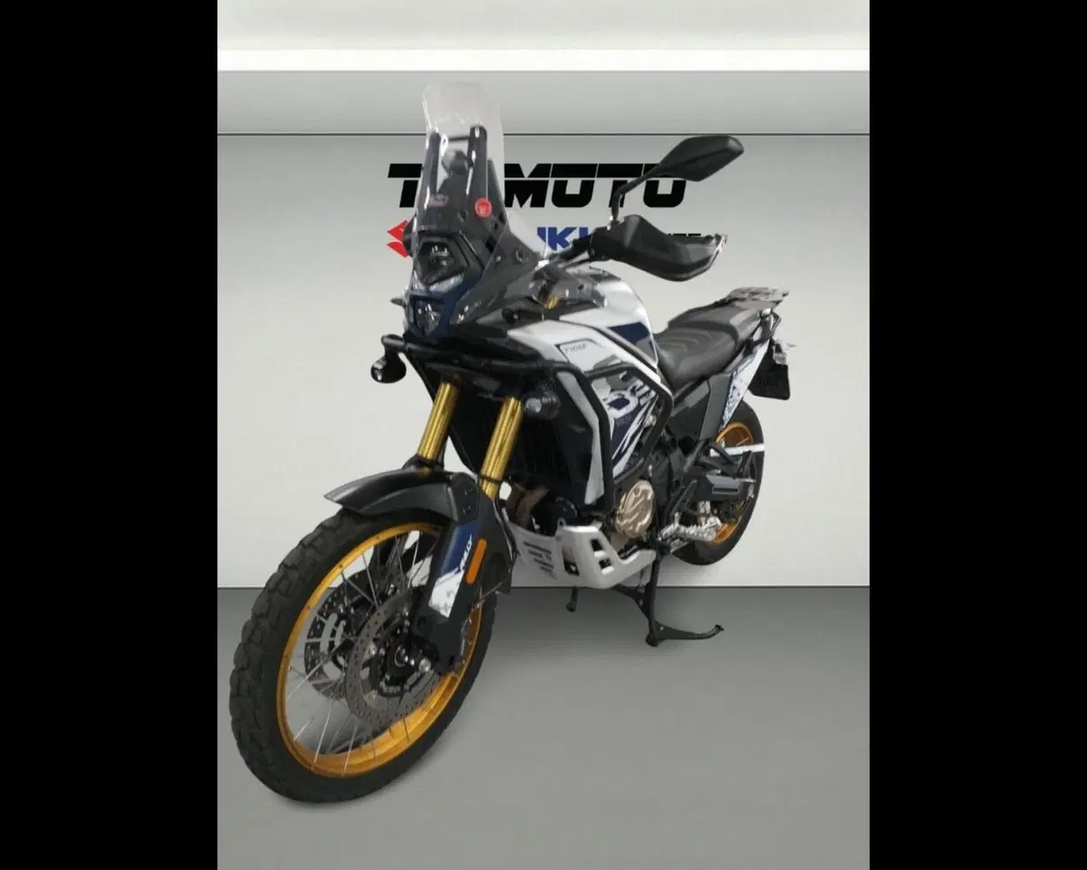 Voge Valico 650DSX (2021 - 24) (2)
