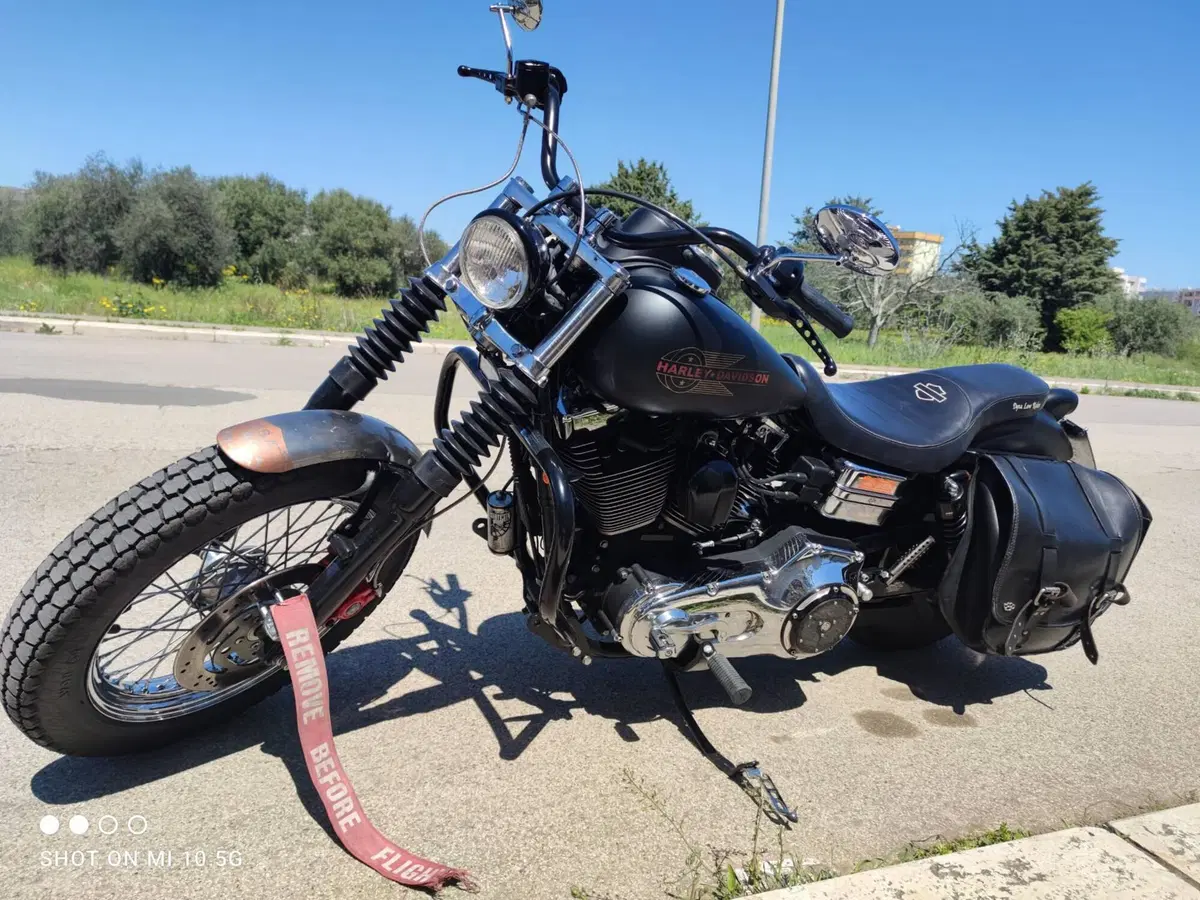 Harley-Davidson 1450 Low Rider (1999 - 03) - FXDL (2)