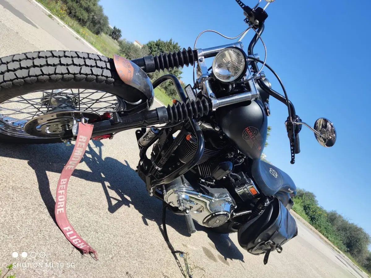 Harley-Davidson 1450 Low Rider (1999 - 03) - FXDL (5)
