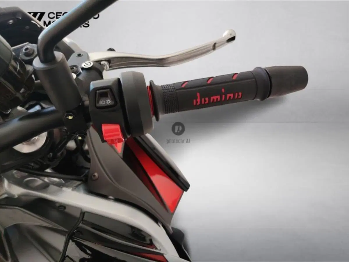Aprilia Tuono 660 Factory (2022 - 24) (10)