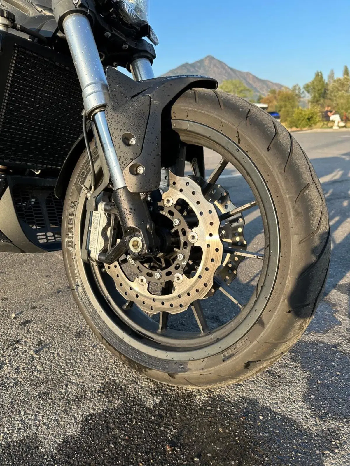 Benelli 502 C (2021 - 25) (4)