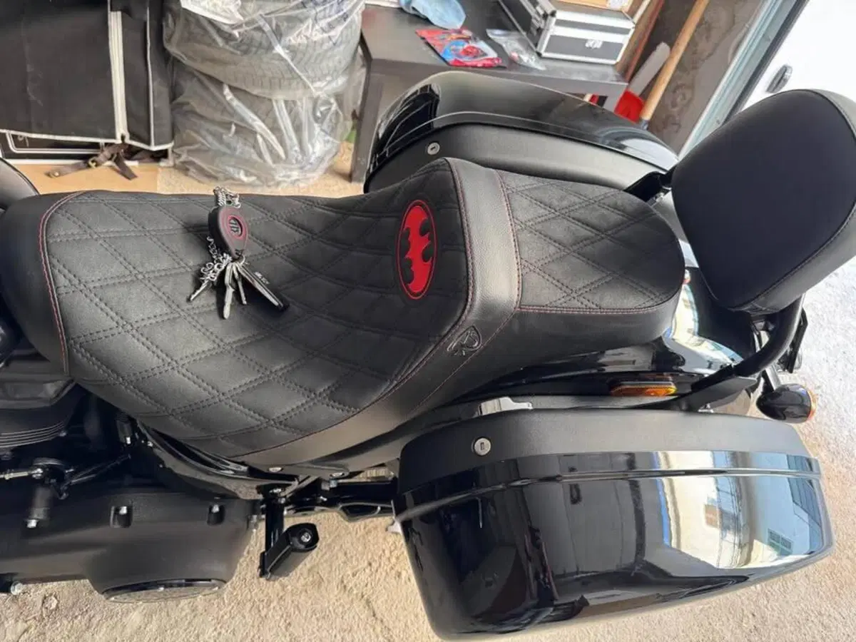 Harley-Davidson Low Rider ST (2022 - 24) (4)