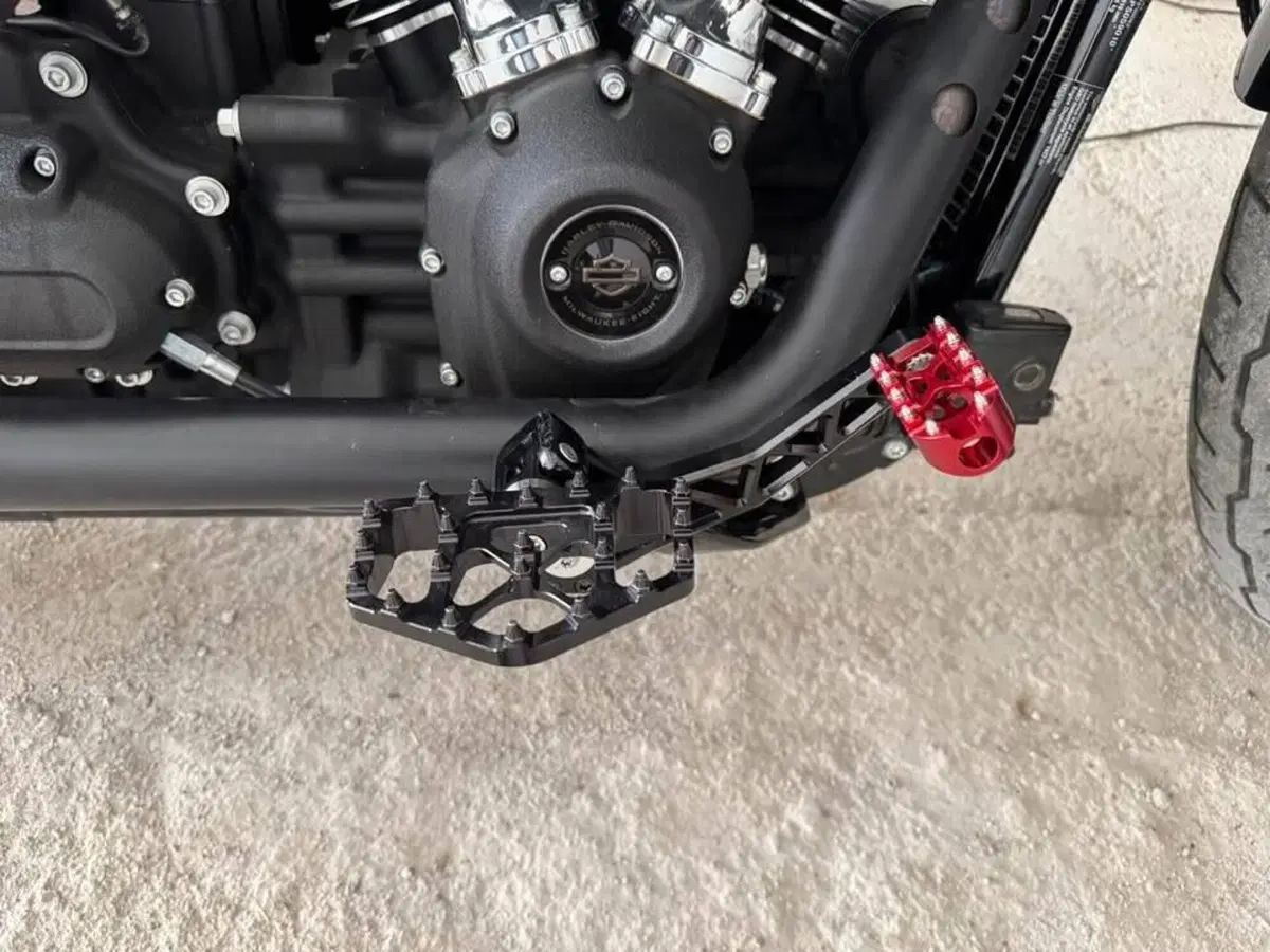 Harley-Davidson Low Rider ST (2022 - 24) (5)