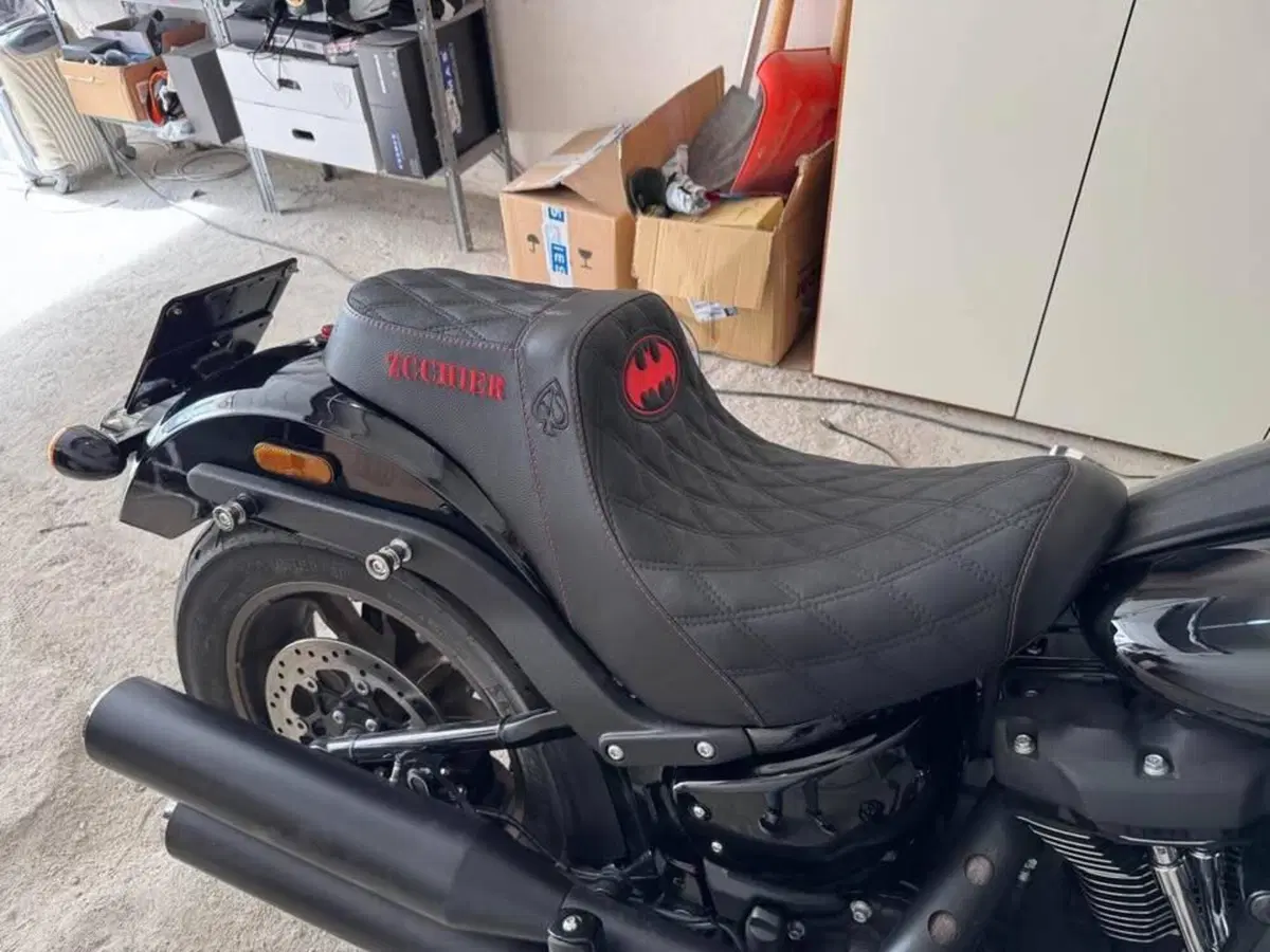 Harley-Davidson Low Rider ST (2022 - 24) (7)