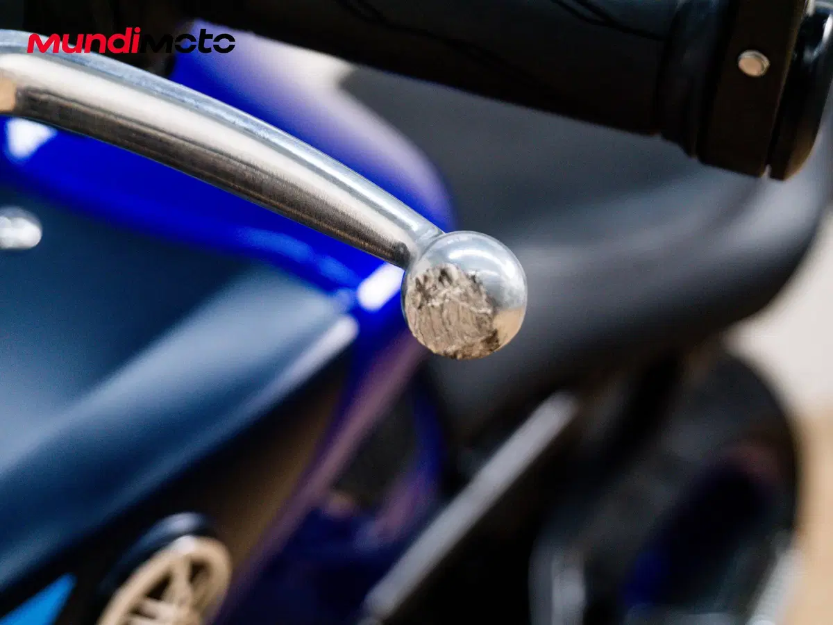 Yamaha MT-09 (2024 - 26) (13)