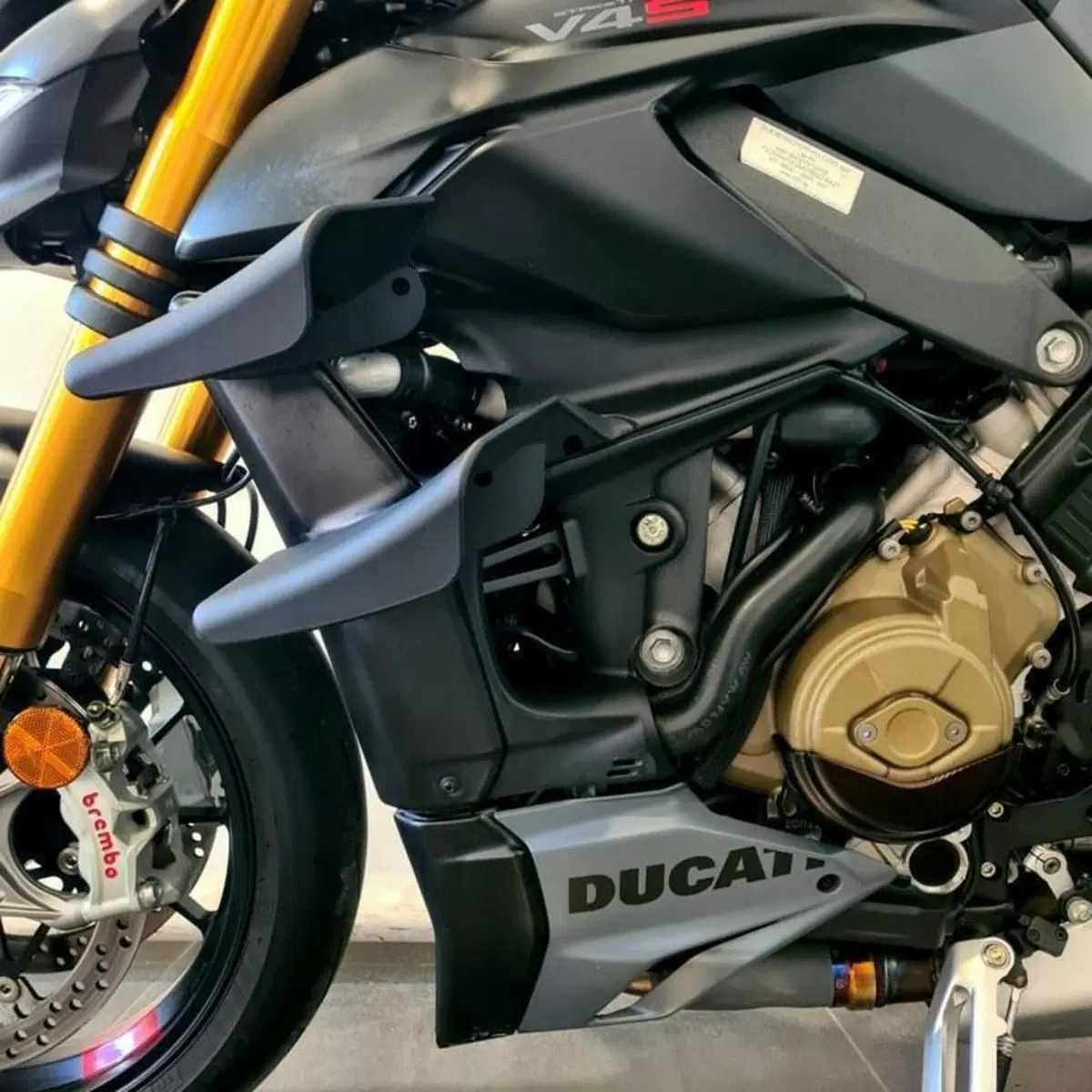 Ducati Streetfighter V4 S (2023 - 24) (11)