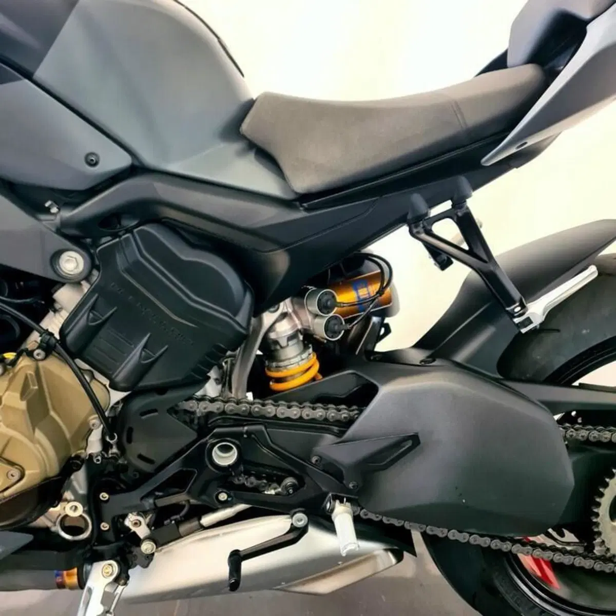 Ducati Streetfighter V4 S (2023 - 24) (12)