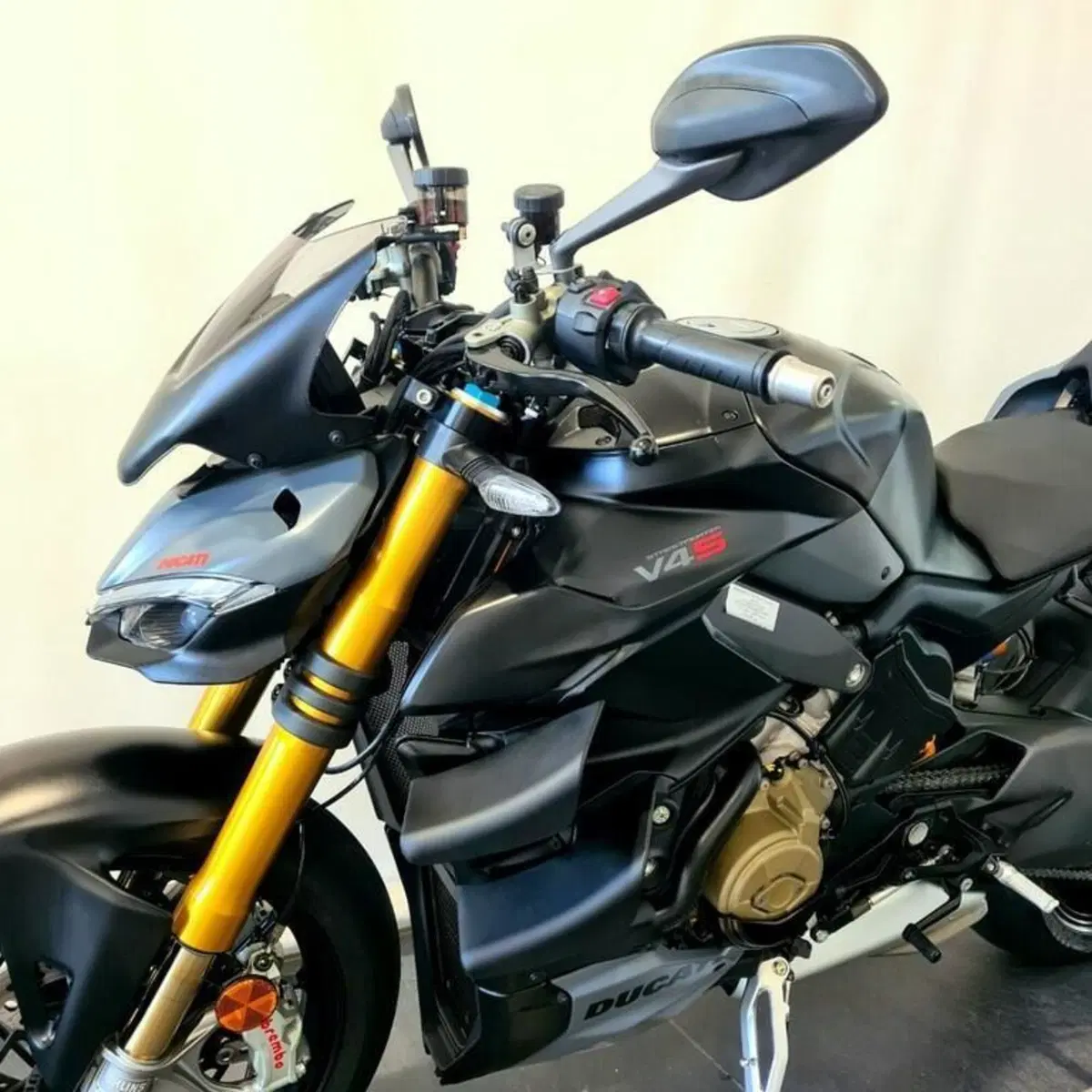 Ducati Streetfighter V4 S (2023 - 24) (8)
