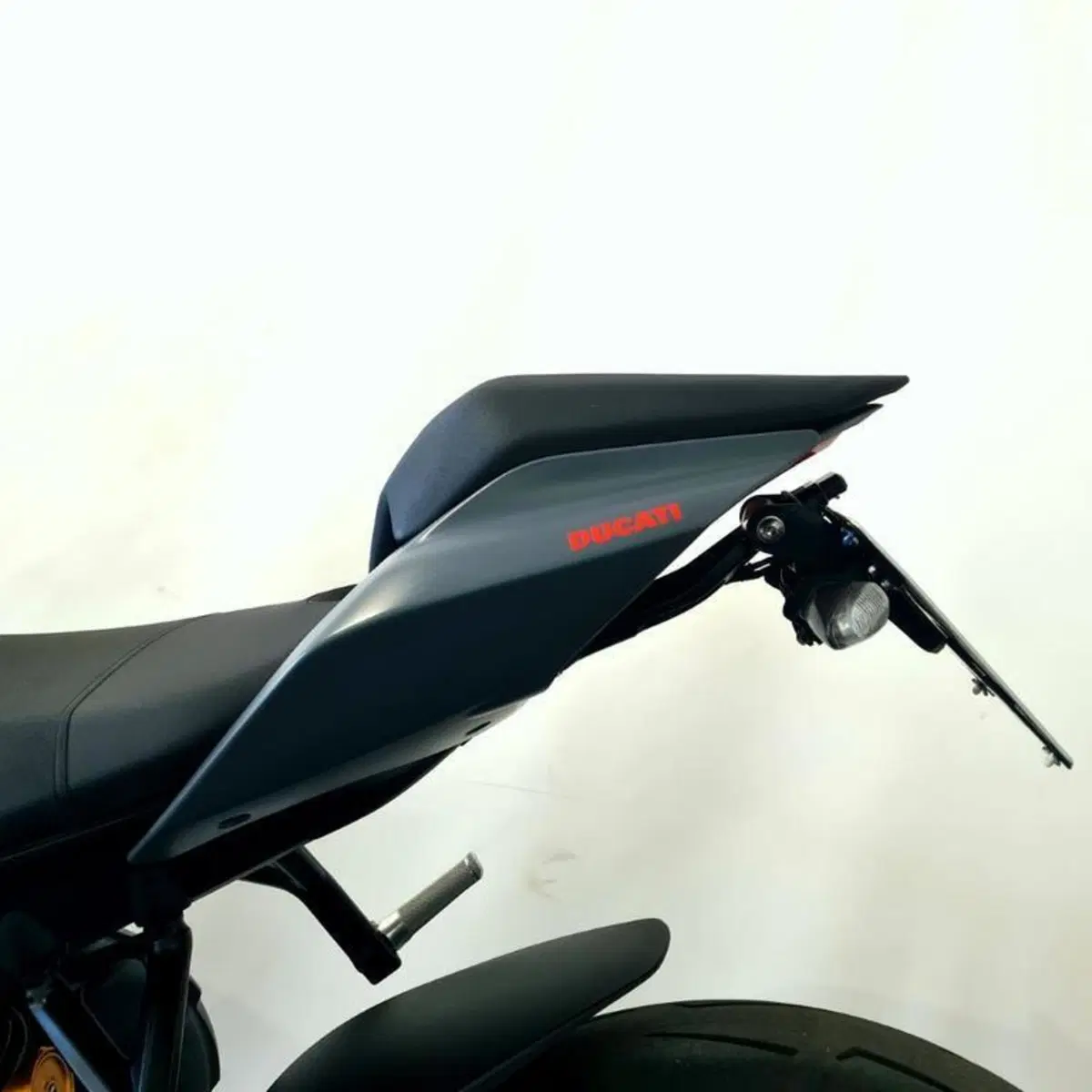 Ducati Streetfighter V4 S (2023 - 24) (14)