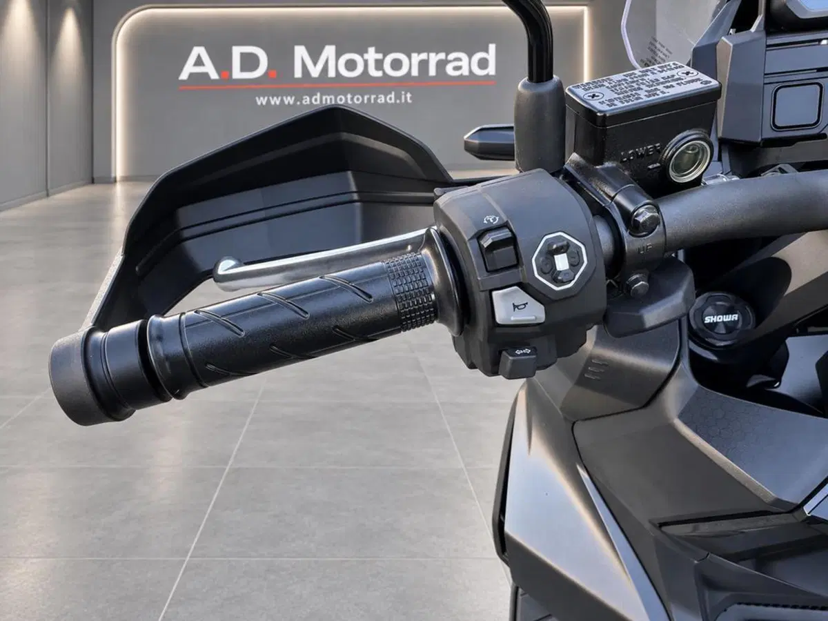 Honda ADV 350 (2022 - 24) (11)
