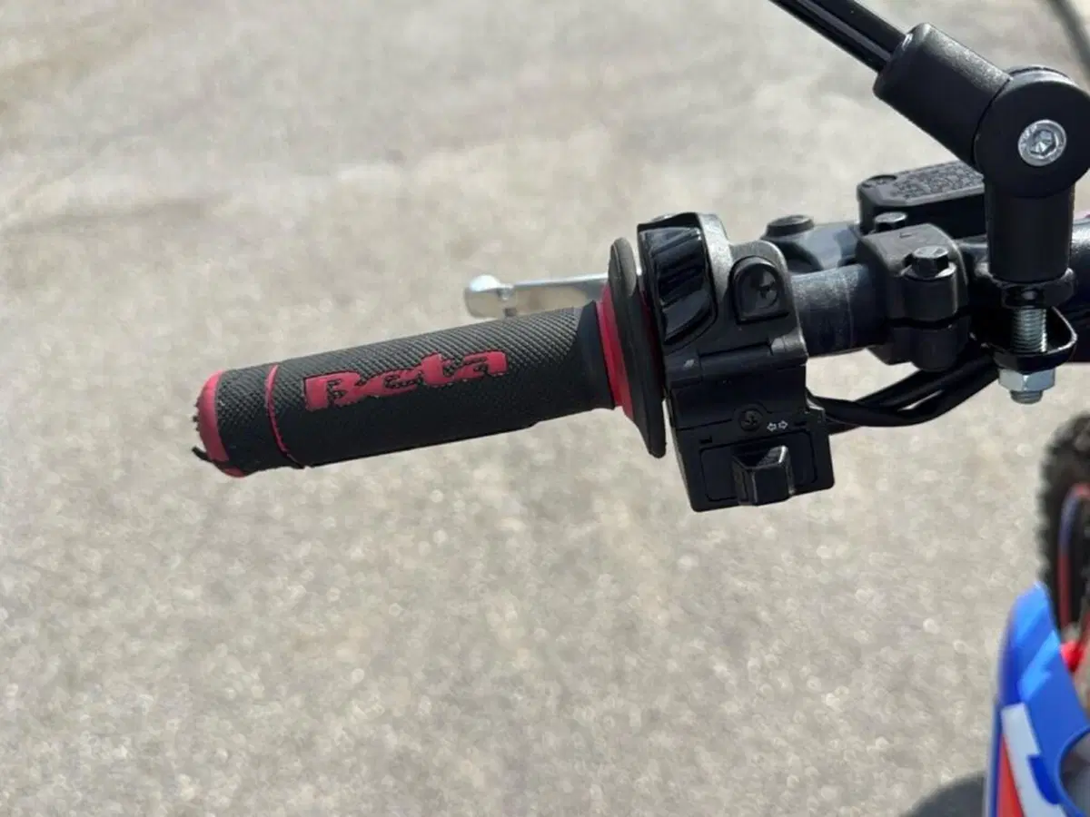 Betamotor RR 390 4T Enduro (2021) (13)