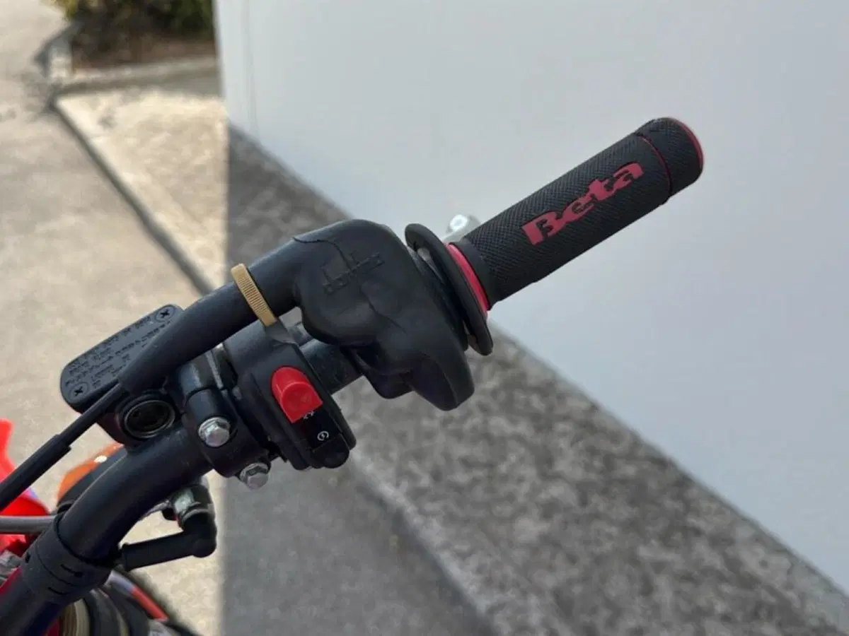 Betamotor RR 390 4T Enduro (2021) (15)