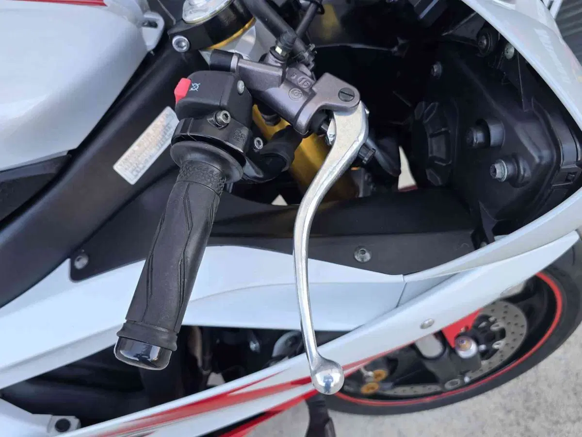 Yamaha YZF R6 (2006 - 07) (22)