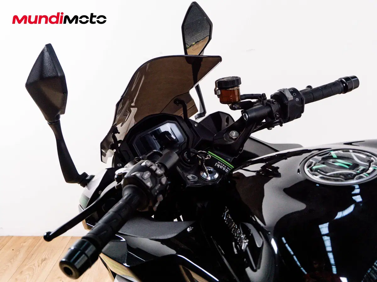 Kawasaki Ninja 1000 SX (2020) (11)