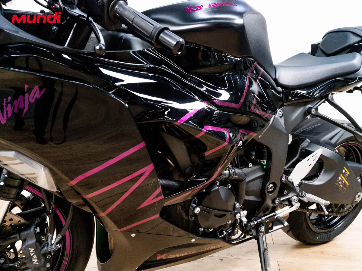 Kawasaki Ninja 636 ZX-6R (2024 - 26) (9)