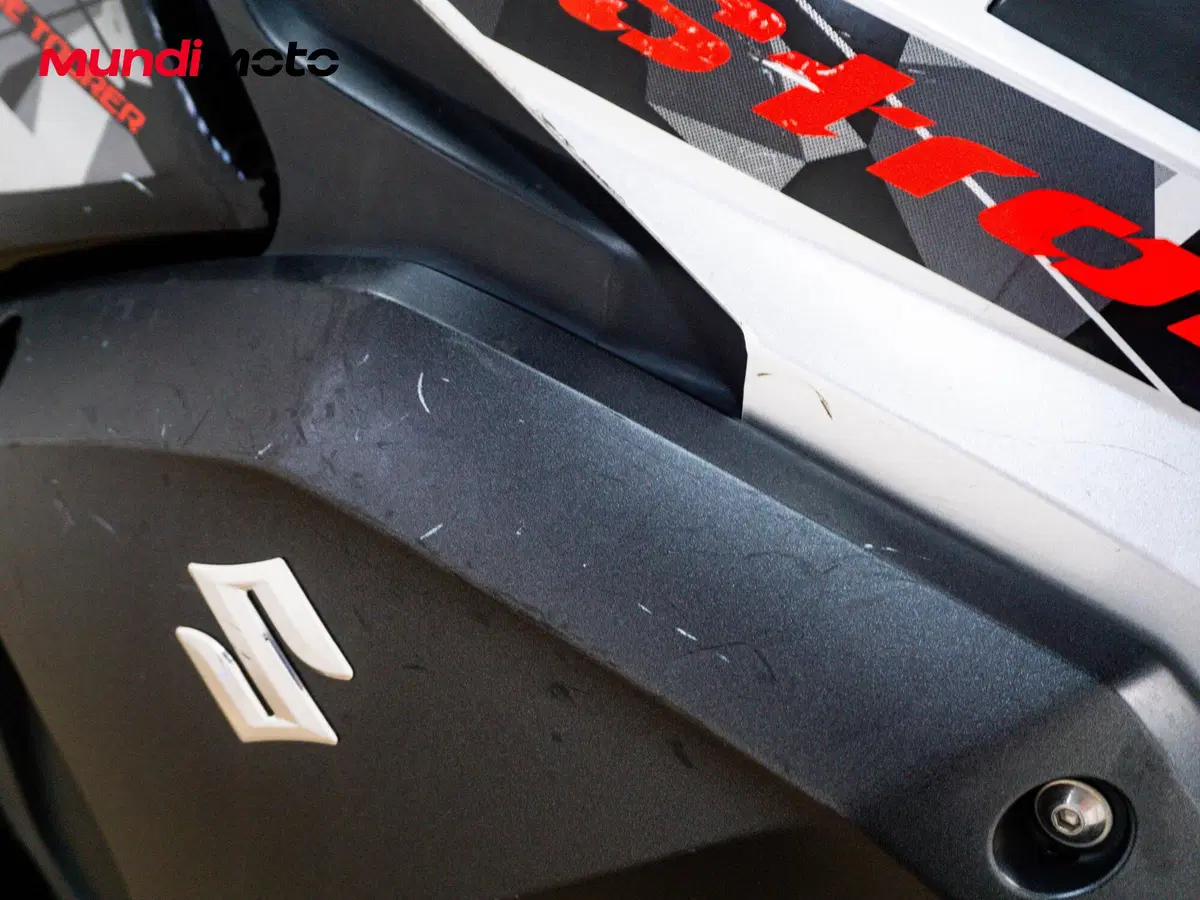 Suzuki V-Strom 250 (2017 - 20) (21)