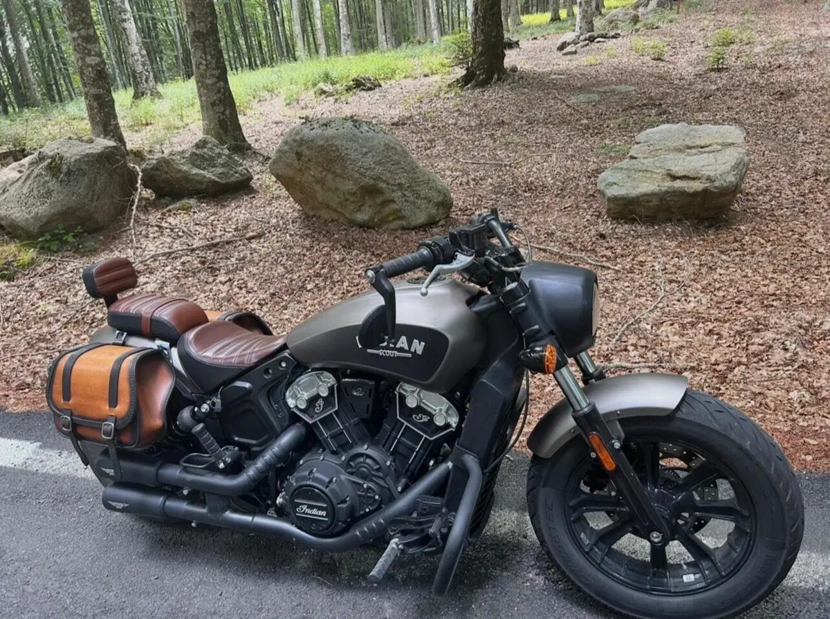 Indian Scout 1133 Bobber (2018 - 20) (2)