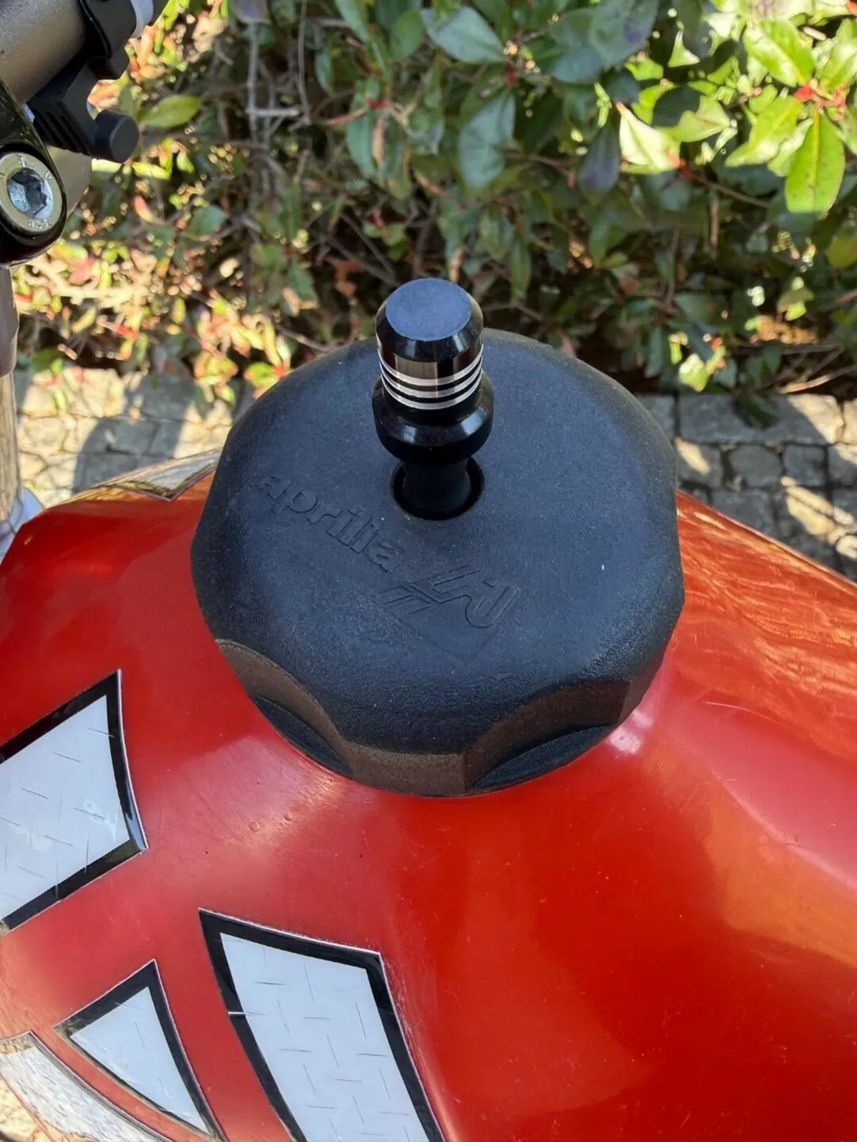 Aprilia RC 125 (7)