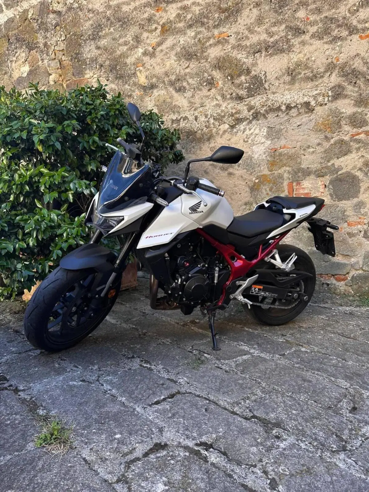 Honda CB 750 Hornet (2025) (3)