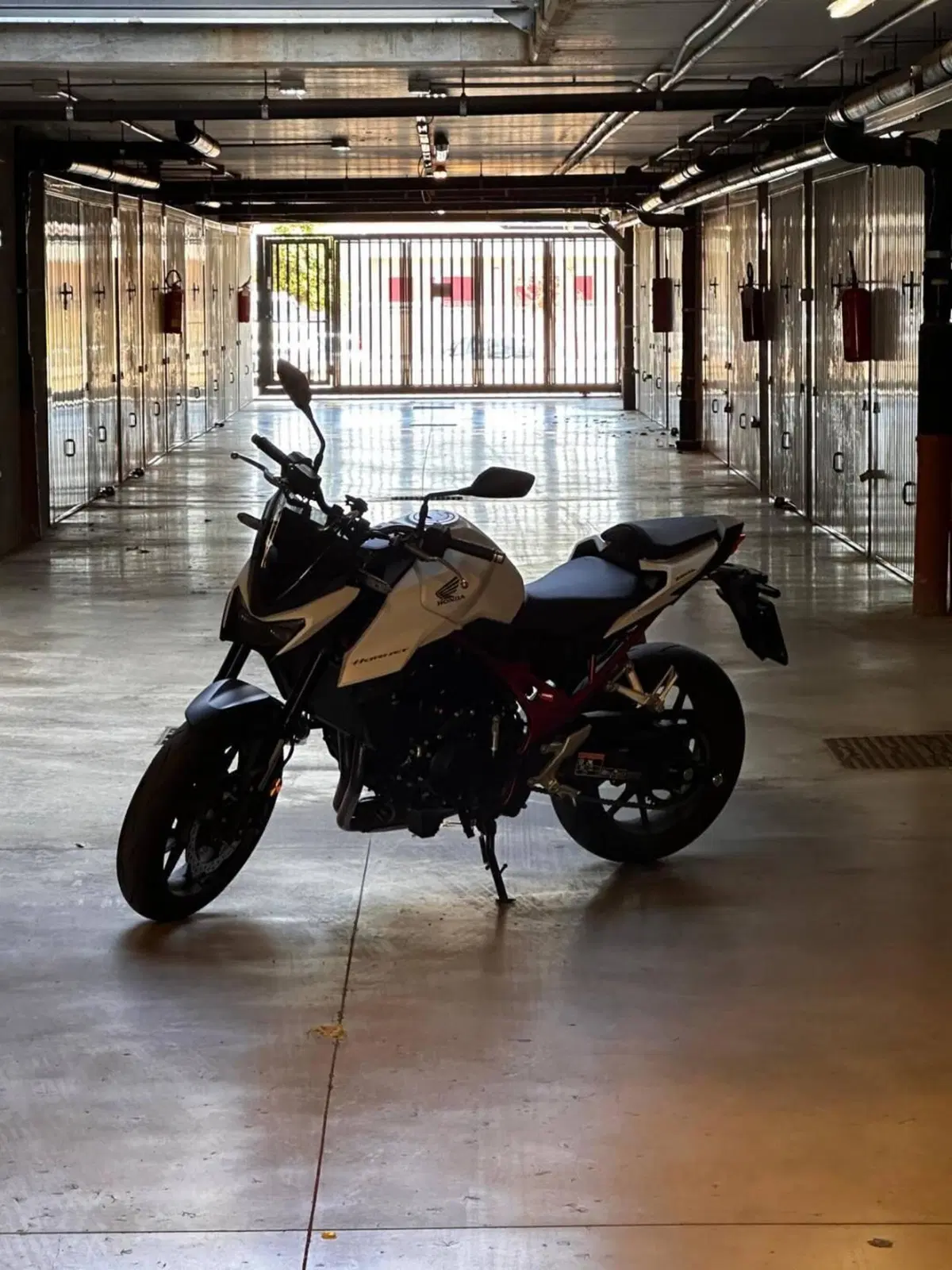 Honda CB 750 Hornet (2025) (5)