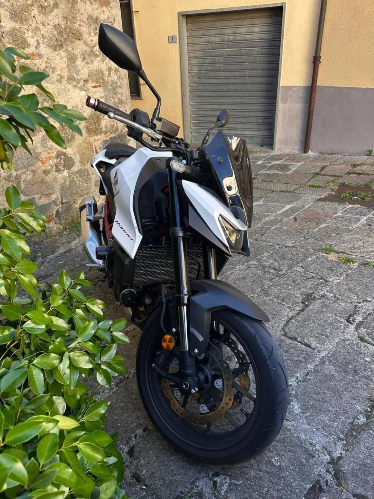 Honda CB 750 Hornet (2025) (6)