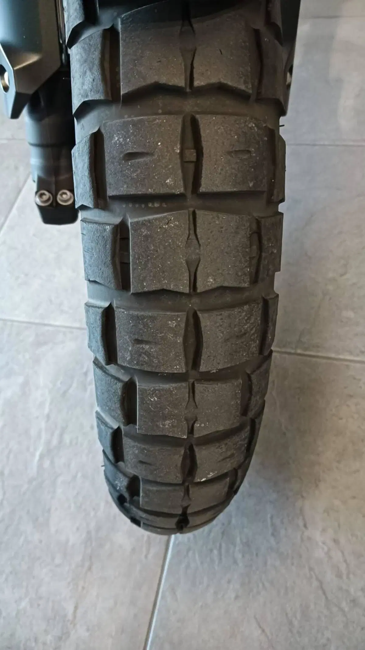 Honda NX500 (2024 - 25) (11)