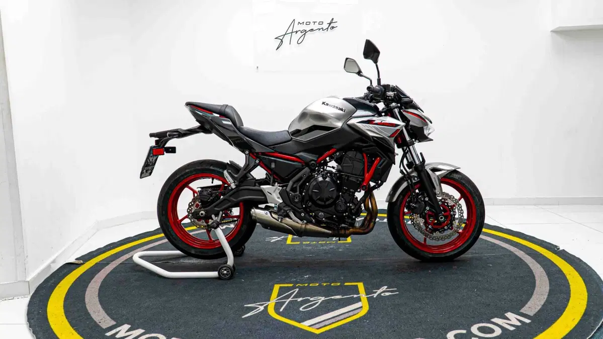 Kawasaki Z 650 (2021 - 24) (9)