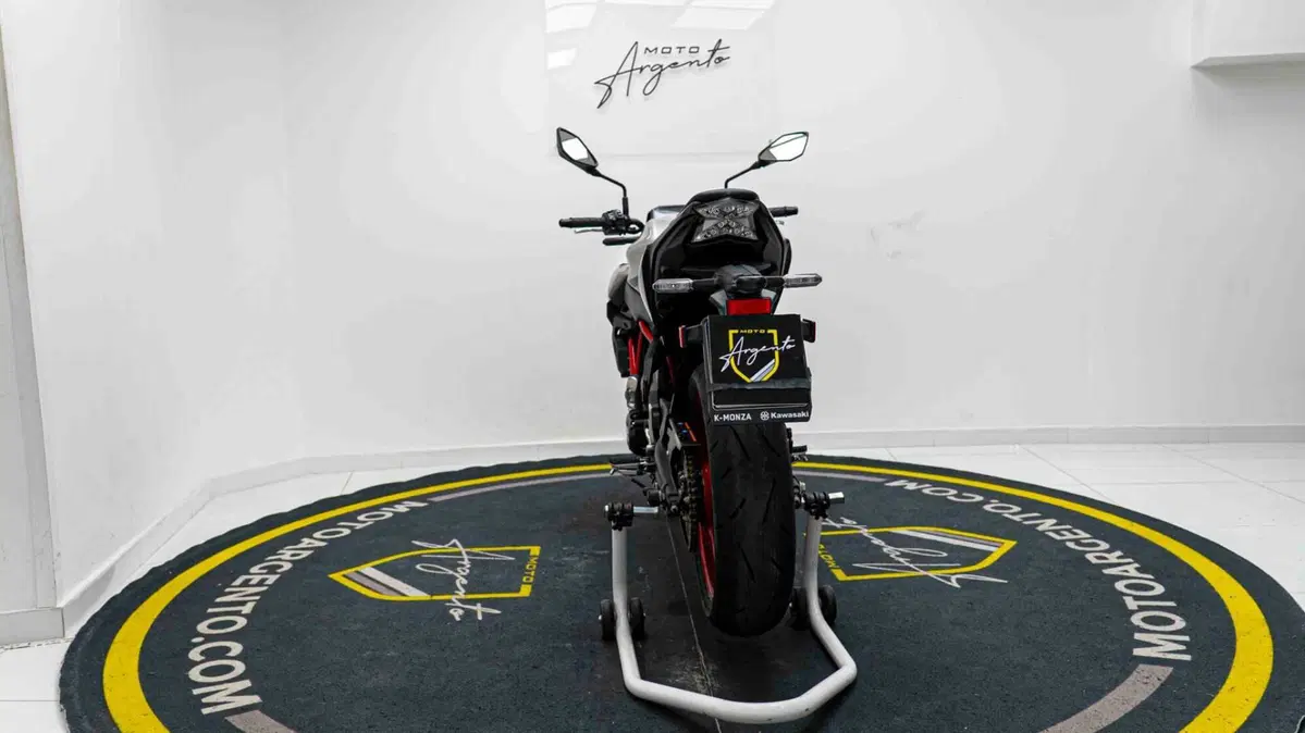 Kawasaki Z 650 (2021 - 24) (11)