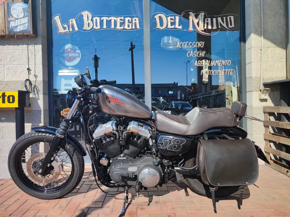 Harley-Davidson XL 1200N Nightster (2008 - 12) (12)