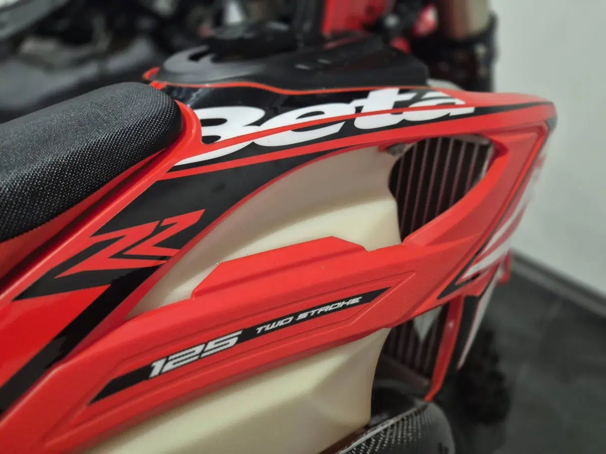 Betamotor RR 125 2T Enduro (2023) (6)