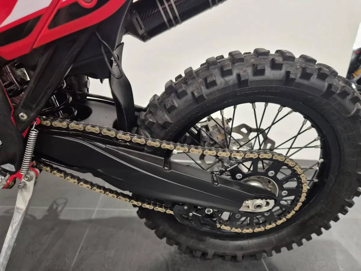 Betamotor RR 125 2T Enduro (2023) (17)