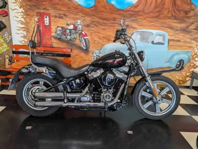 Harley-Davidson Softail Standard (2020) - FXST usata
