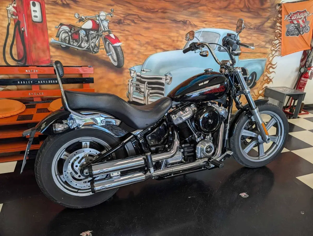 Harley-Davidson Softail Standard (2020) - FXST (2)