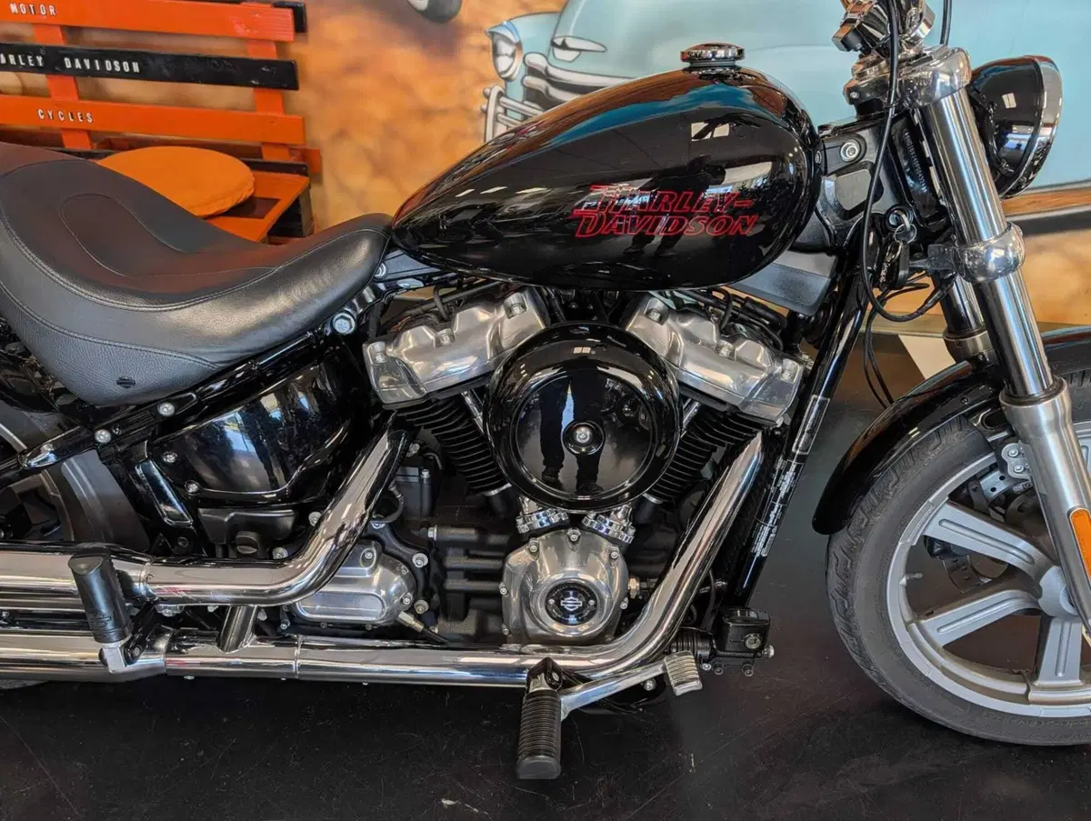 Harley-Davidson Softail Standard (2020) - FXST (3)