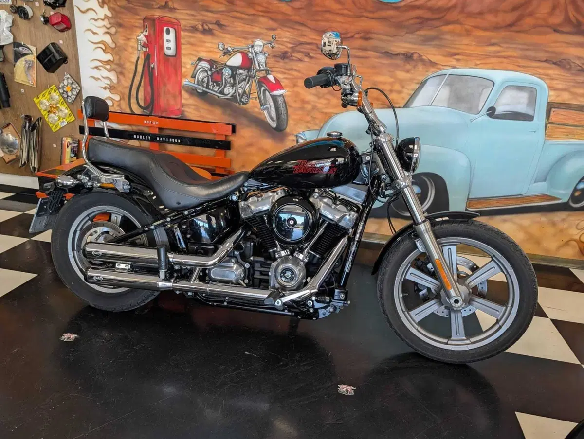 Harley-Davidson Softail Standard (2020) - FXST (4)