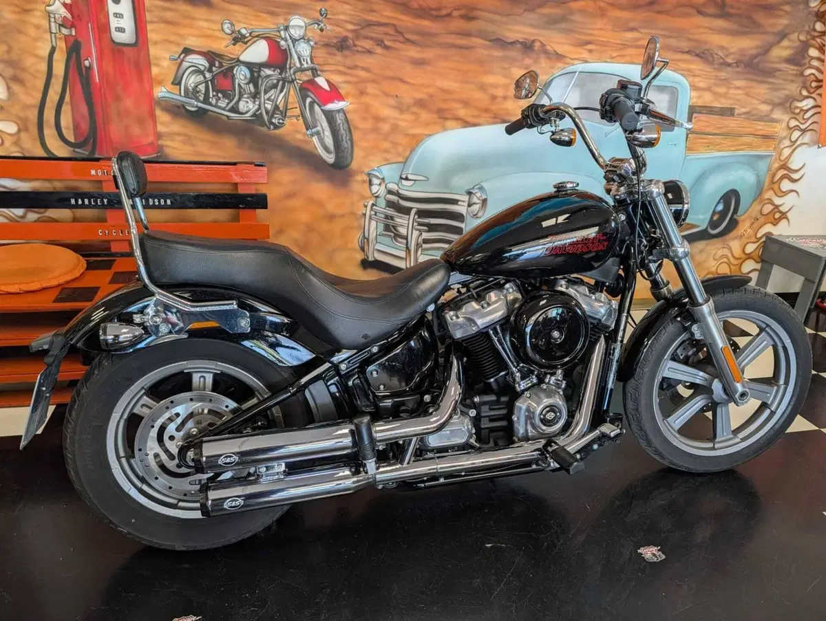 Harley-Davidson Softail Standard (2020) - FXST (5)