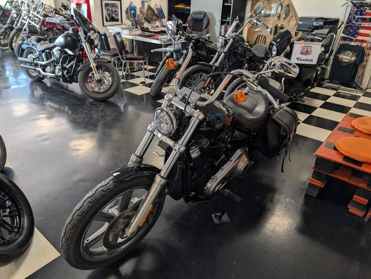 Harley-Davidson Softail Standard (2020) - FXST (6)