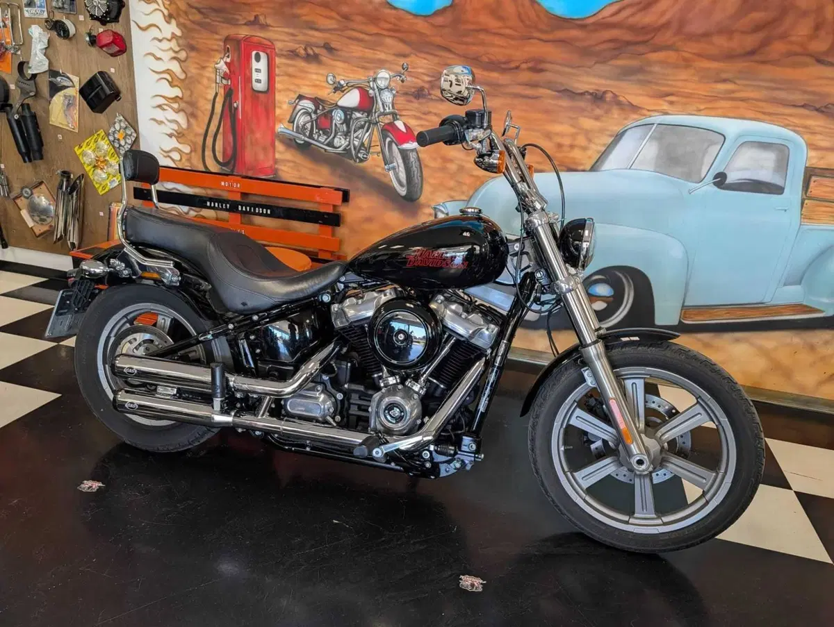 Harley-Davidson Softail Standard (2020) - FXST (7)