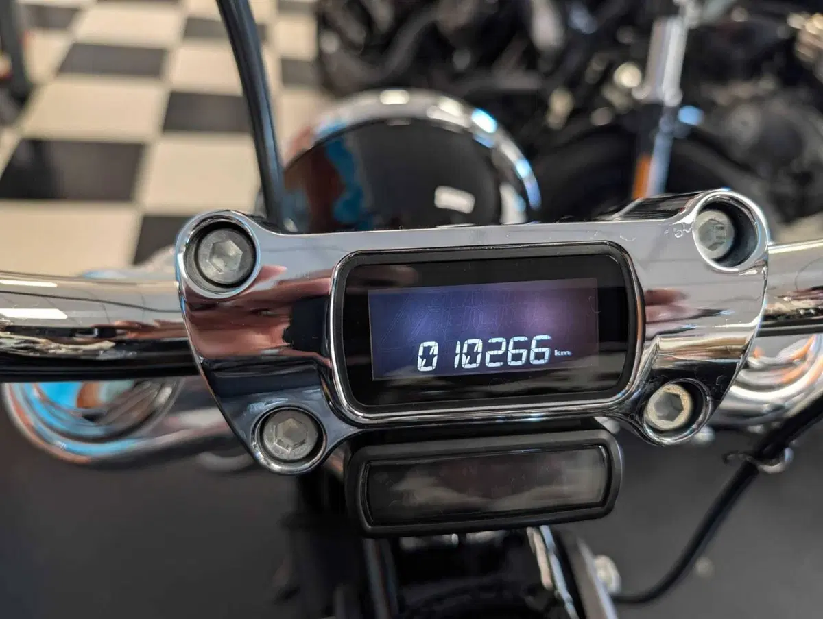 Harley-Davidson Softail Standard (2020) - FXST (8)