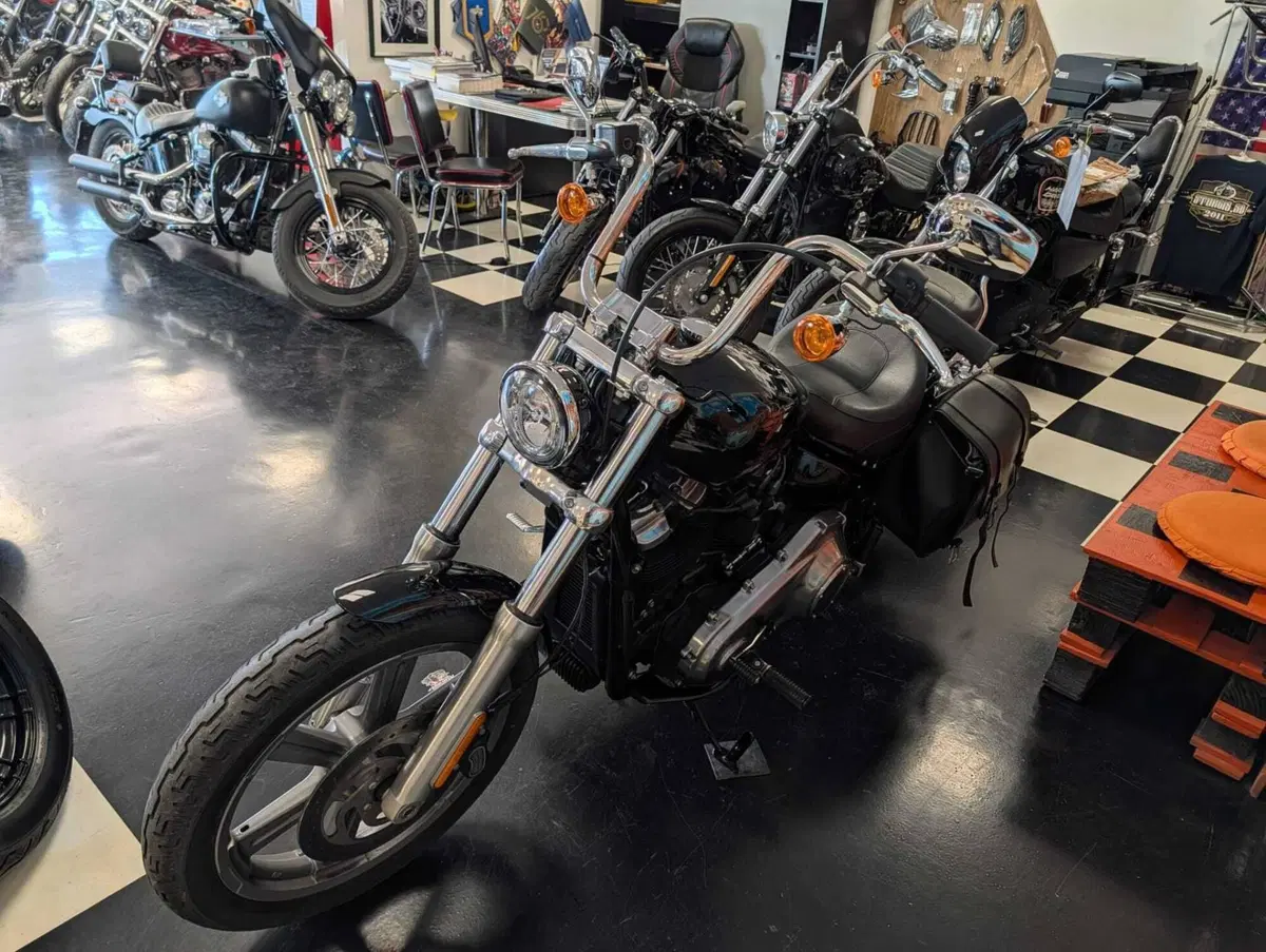 Harley-Davidson Softail Standard (2020) - FXST (9)