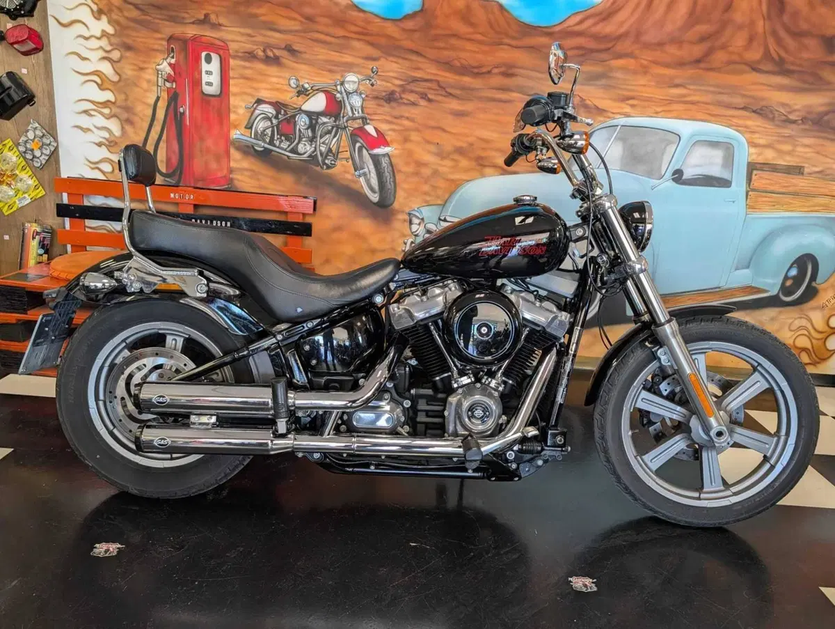 Harley-Davidson Softail Standard (2020) - FXST (10)