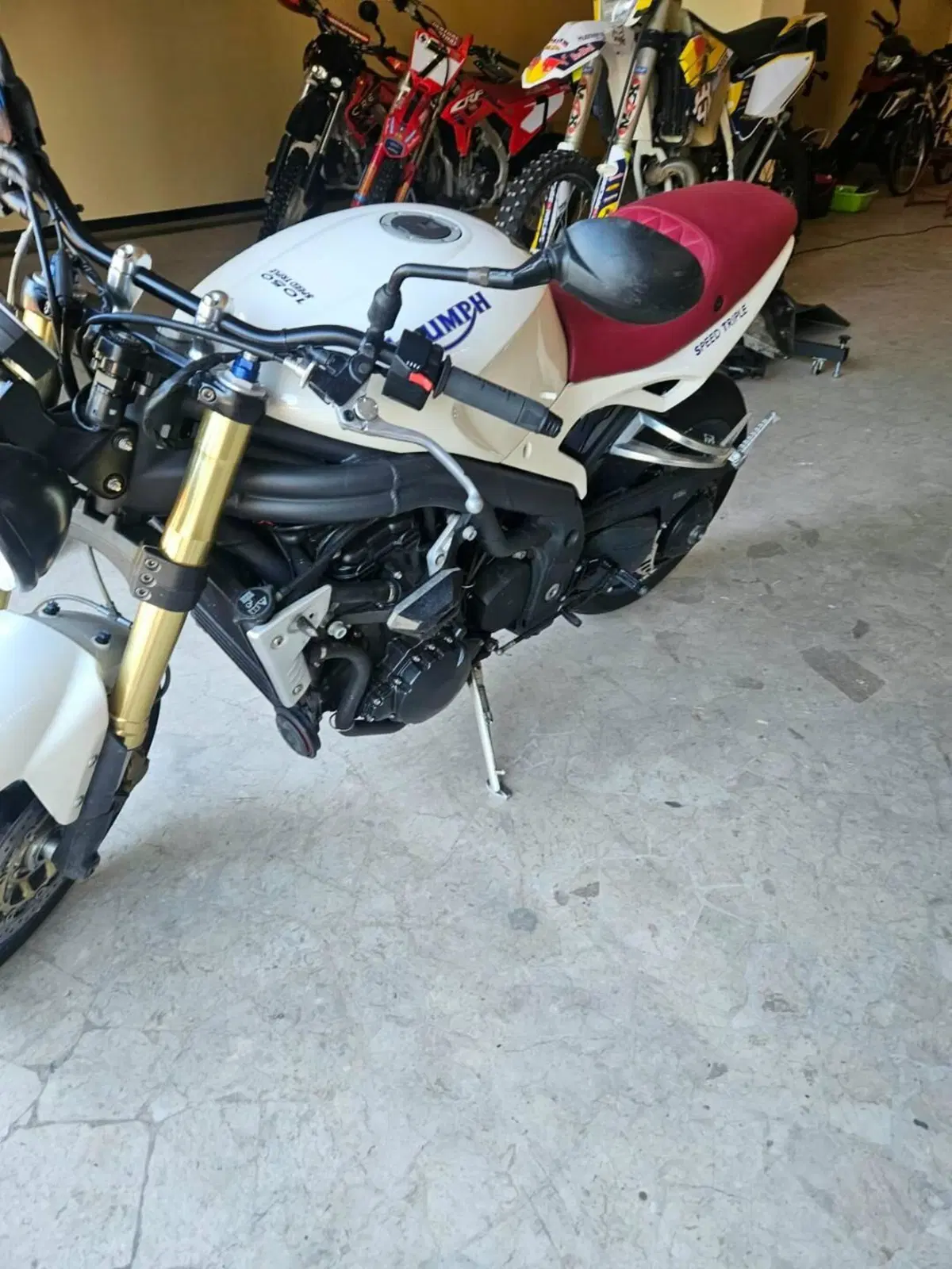 Triumph Speed Triple 1050 (2011 - 13) (4)