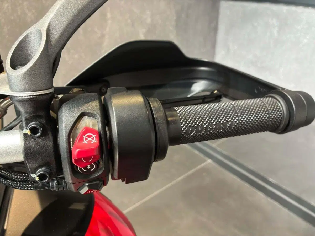 Ducati Multistrada V4 Rally (2023 - 25) (12)